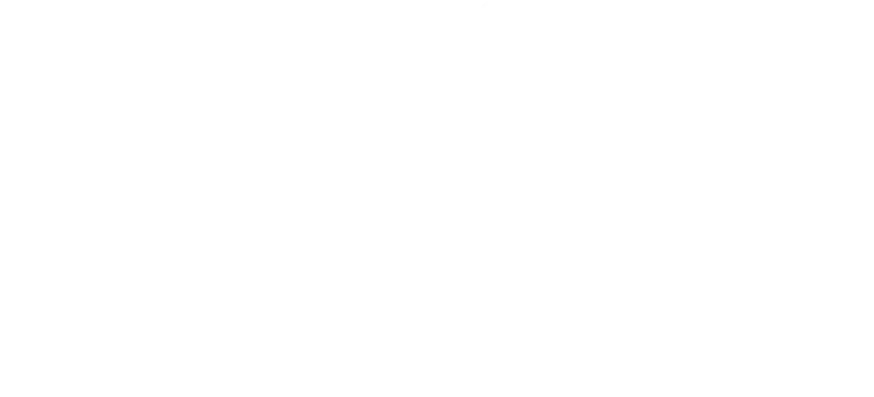 Fury Co. Athletics